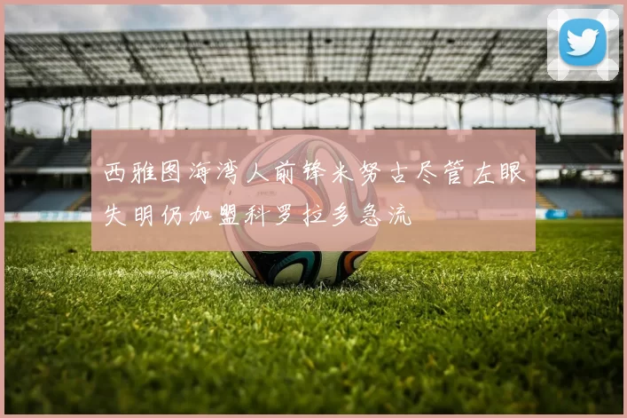 西雅图海湾人前锋米努古尽管左眼失明仍加盟科罗拉多急流